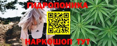 дживик Северобайкальск