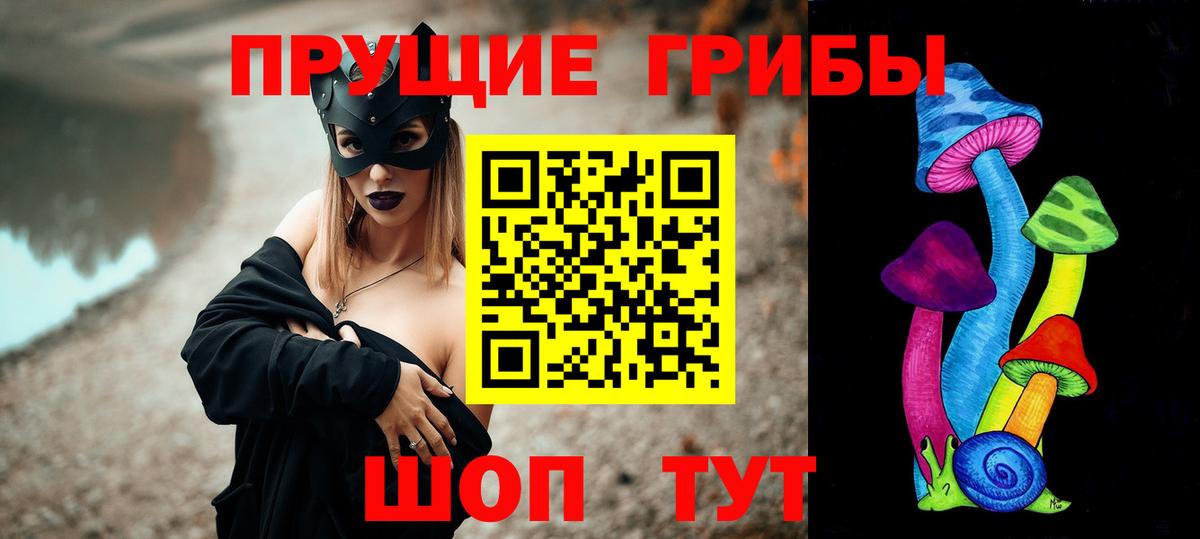 Саранск  Псилоцибиновые грибы Cubensis  Вход с VPN  Псилоцибиновые грибы MAGIC MUSHROOMS 